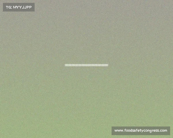 足球转会市场中的中介费用：背后隐秘的经济链条与俱乐部运营压力